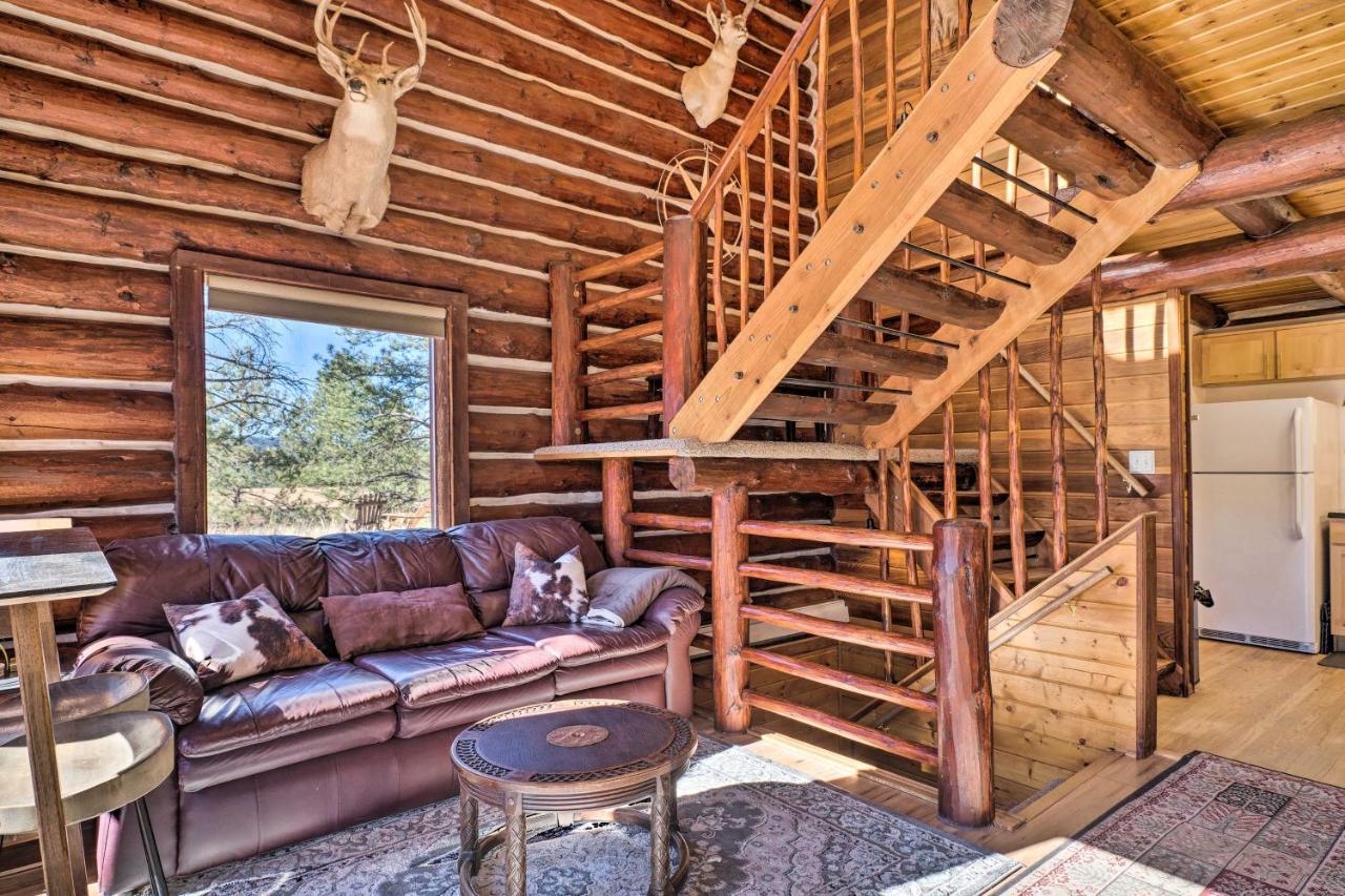 Classic Colorado Log Home With Mountain Views! Florissant Экстерьер фото